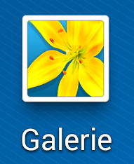 GALERIES(50K)